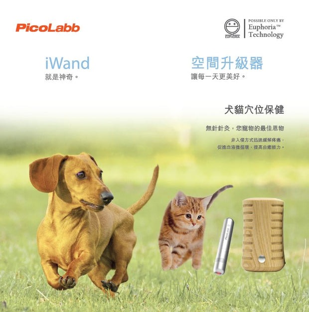 動物 Wisdom Book - PicoLabb